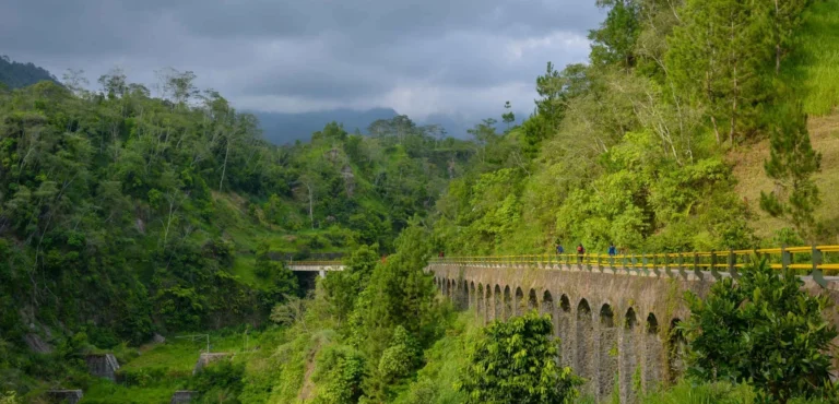 Plunyon Kalikuning Yogyakarta