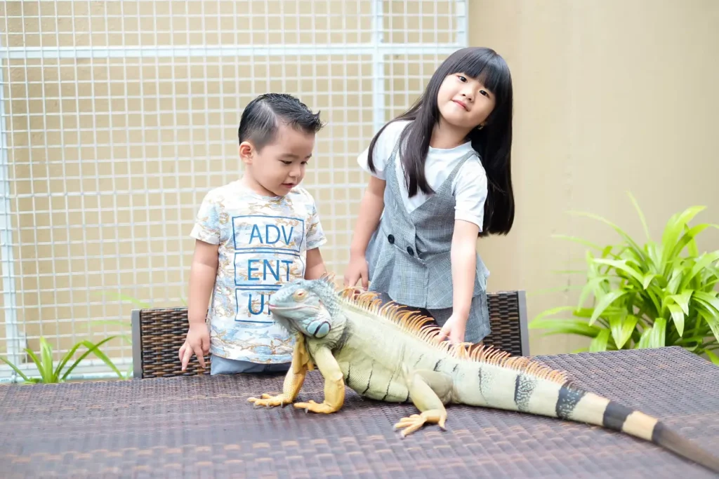 Fragile Garden Eastparc Hotel Yogyakarta