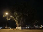 Alun alun Kidul Yogyakarta