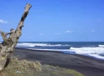 Pantai Goa Cemara Yogyakarta