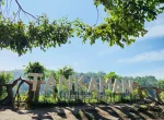 Tankaman Natural Park Yogyakarta
