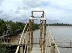 Wana Tirta Mangrove Forest Yogyakarta