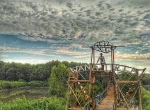 Wana Tirta Mangrove Forest Yogyakarta